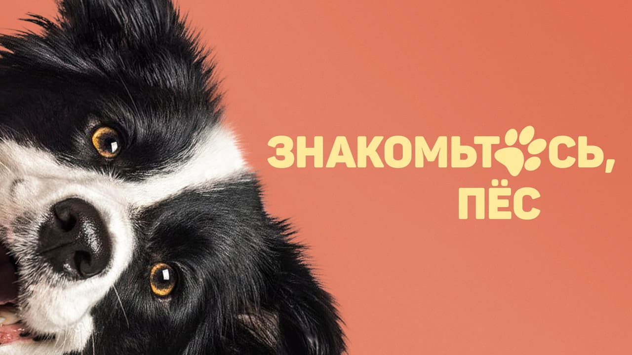 Кадр 1