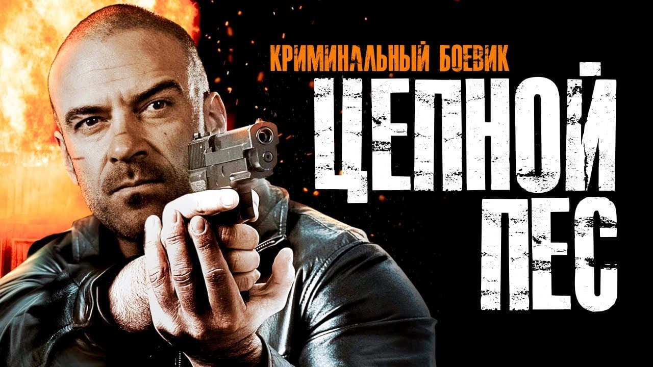 Кадр 3