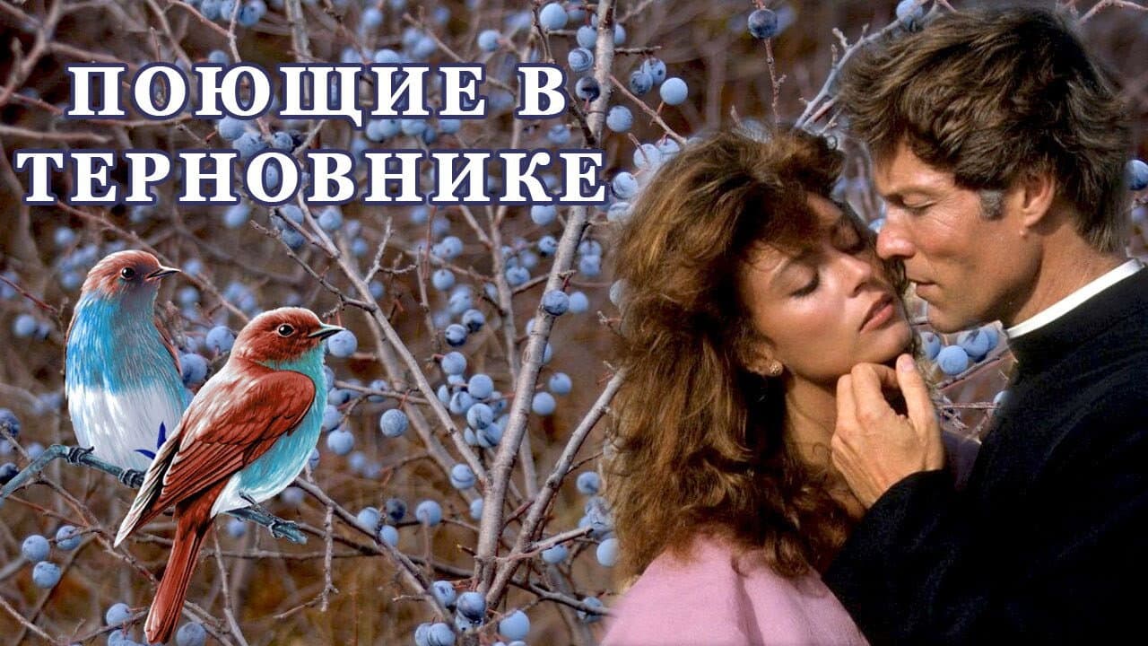 Кадр 2