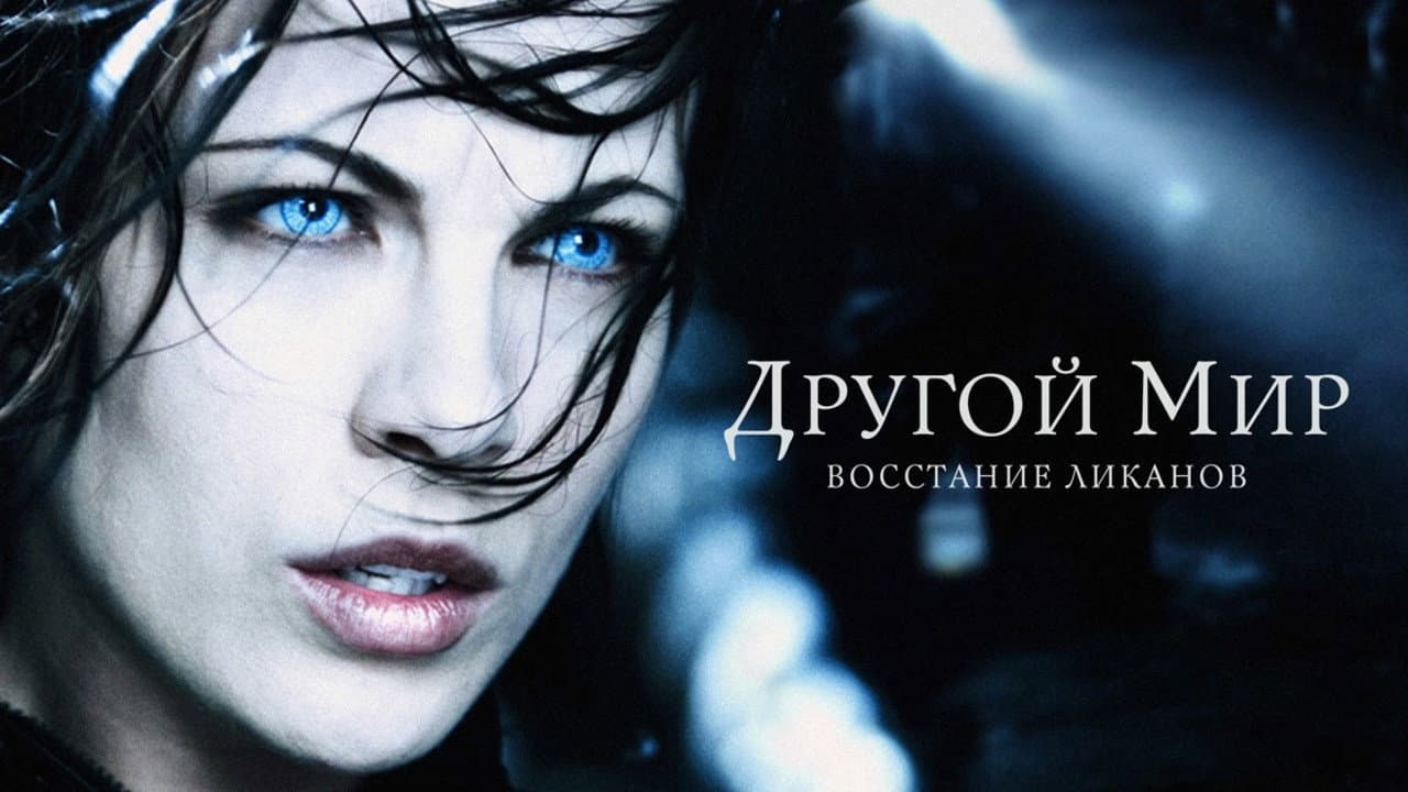 Кадр 2