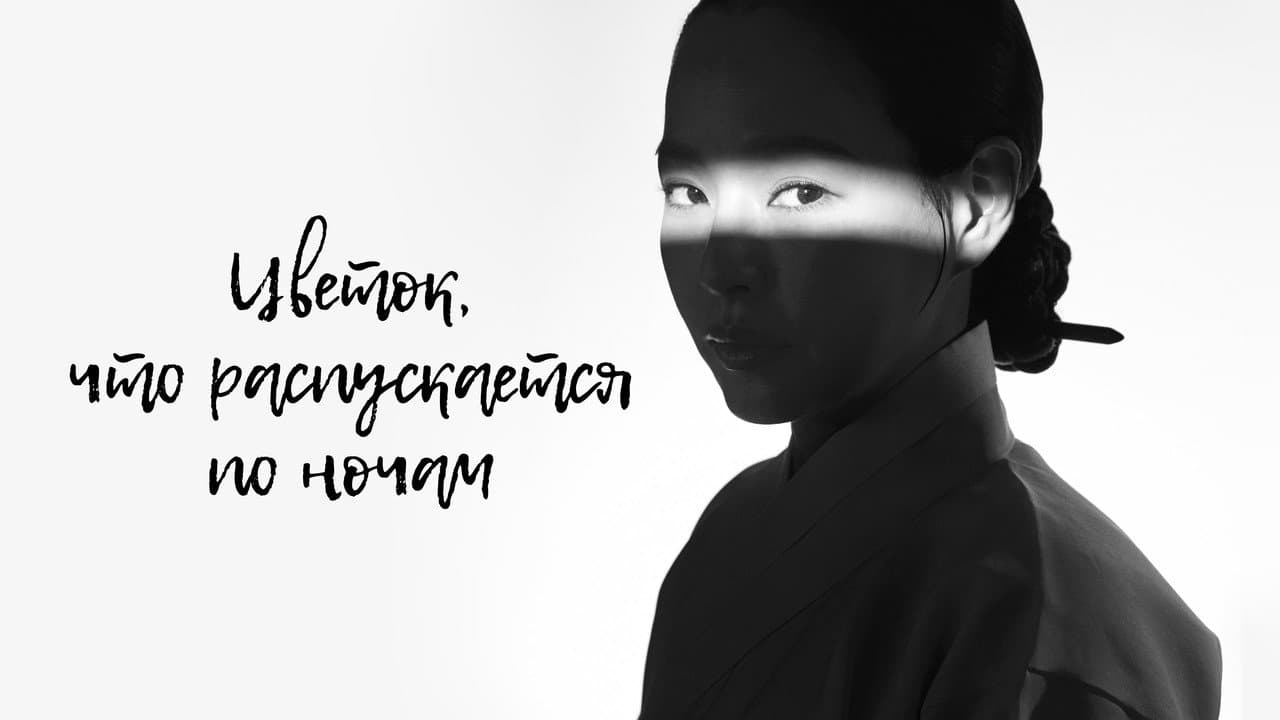 Кадр 1