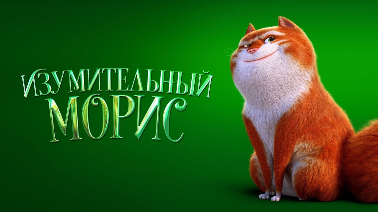 Кадр 1