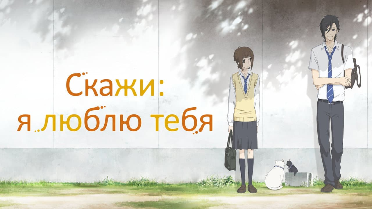 Кадр 1