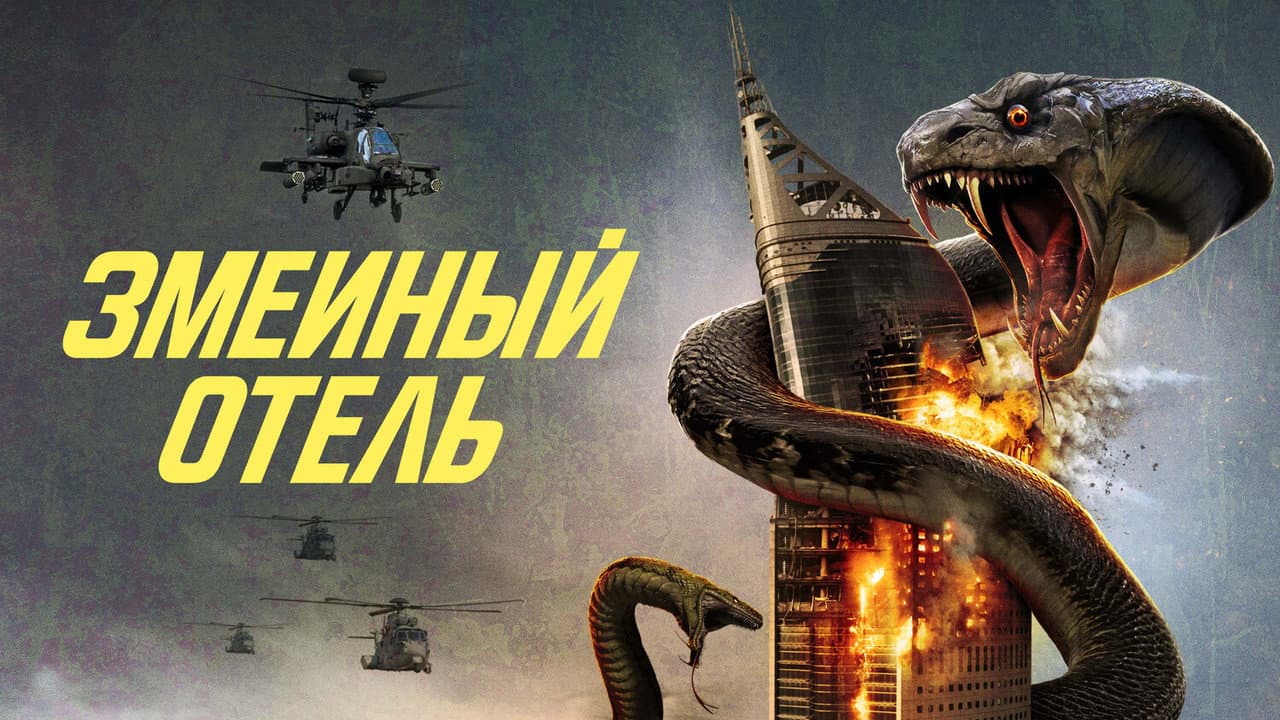 Кадр 1