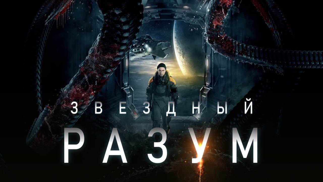 Кадр 1
