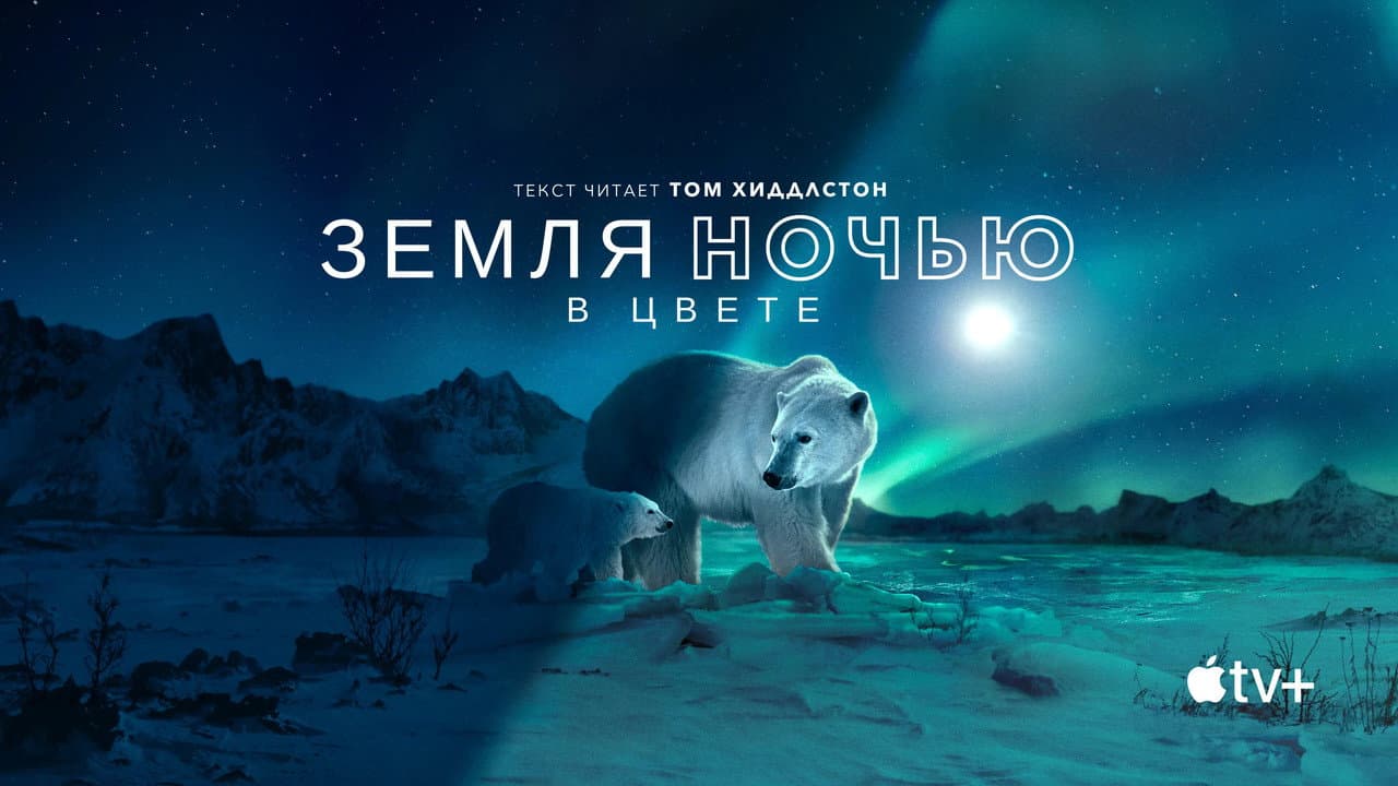 Кадр 1