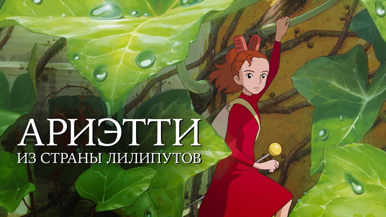 Кадр 1