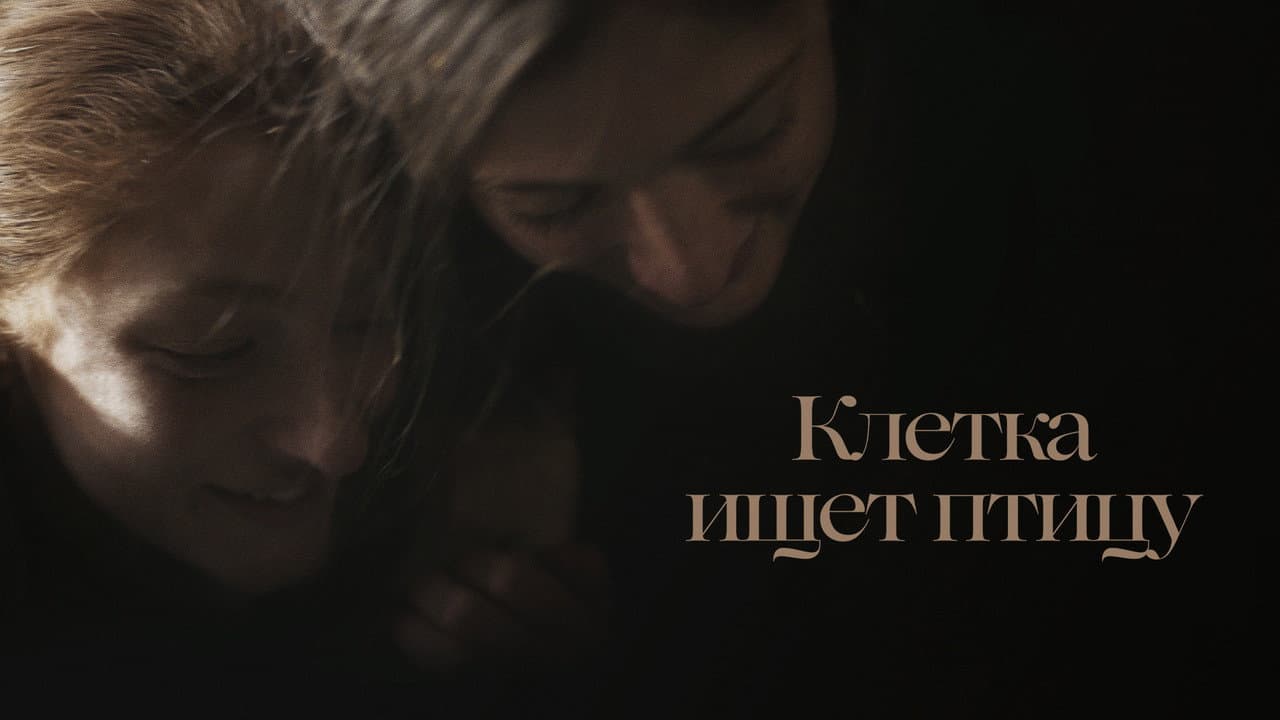 Кадр 2