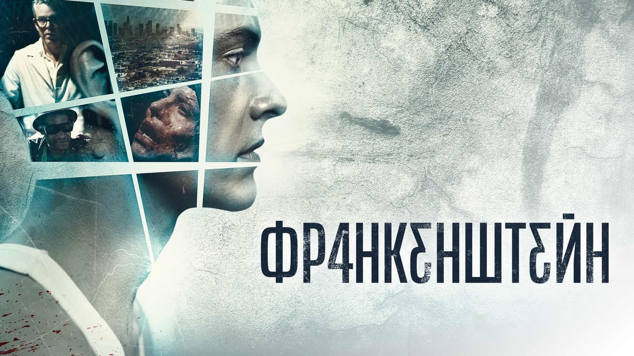 Кадр 1