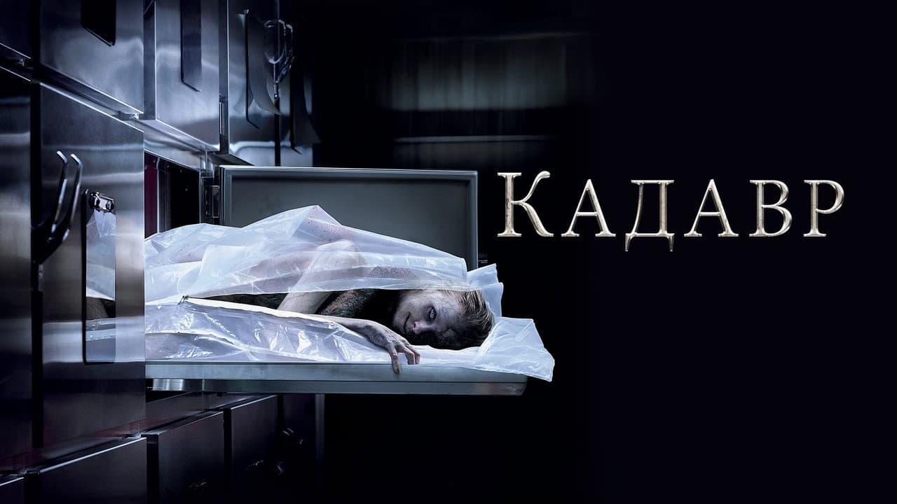 Кадр 1