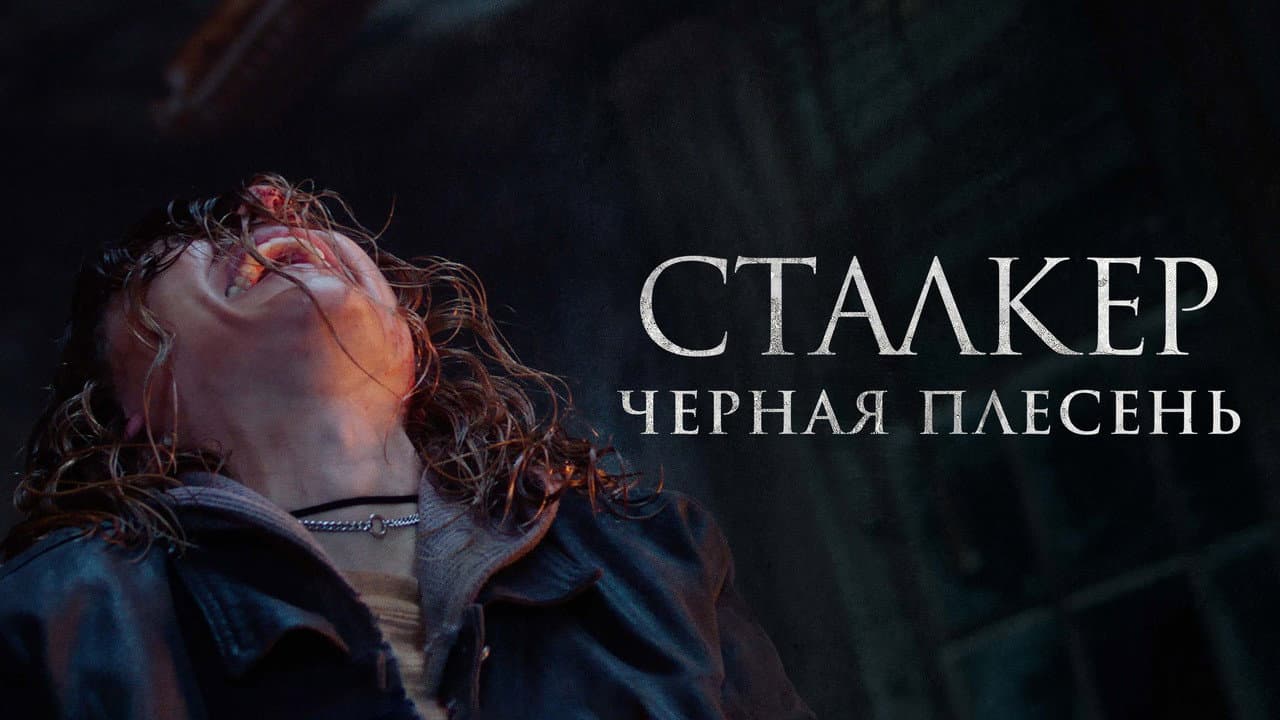 Кадр 1