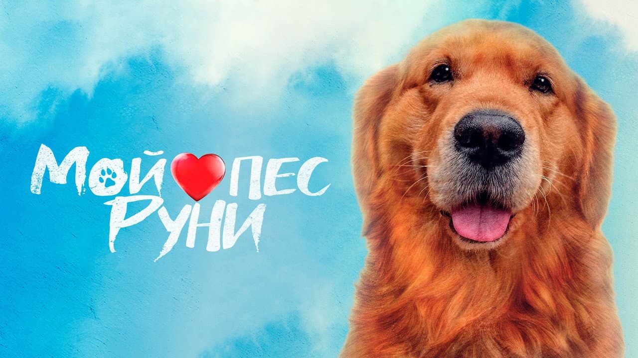 Кадр 1
