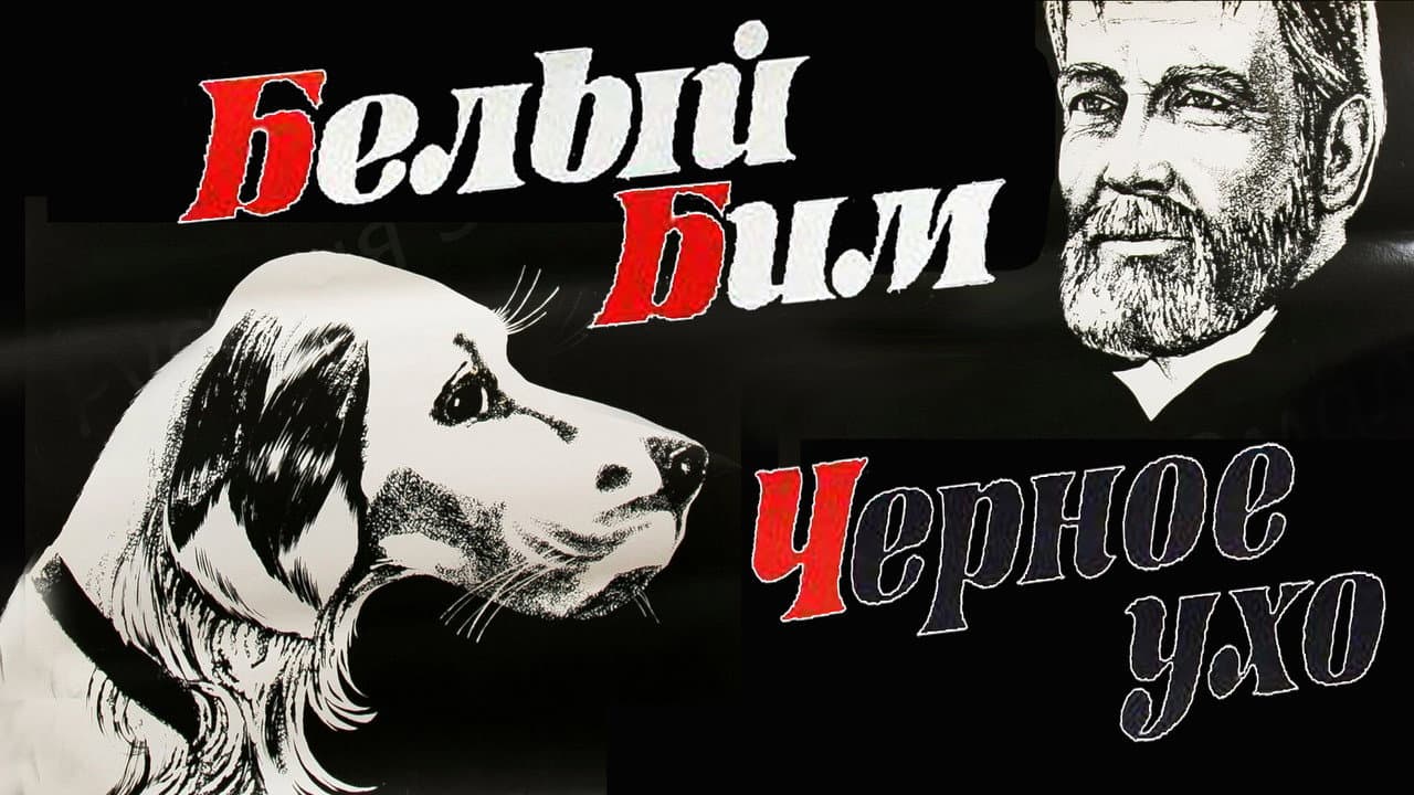 Кадр 2