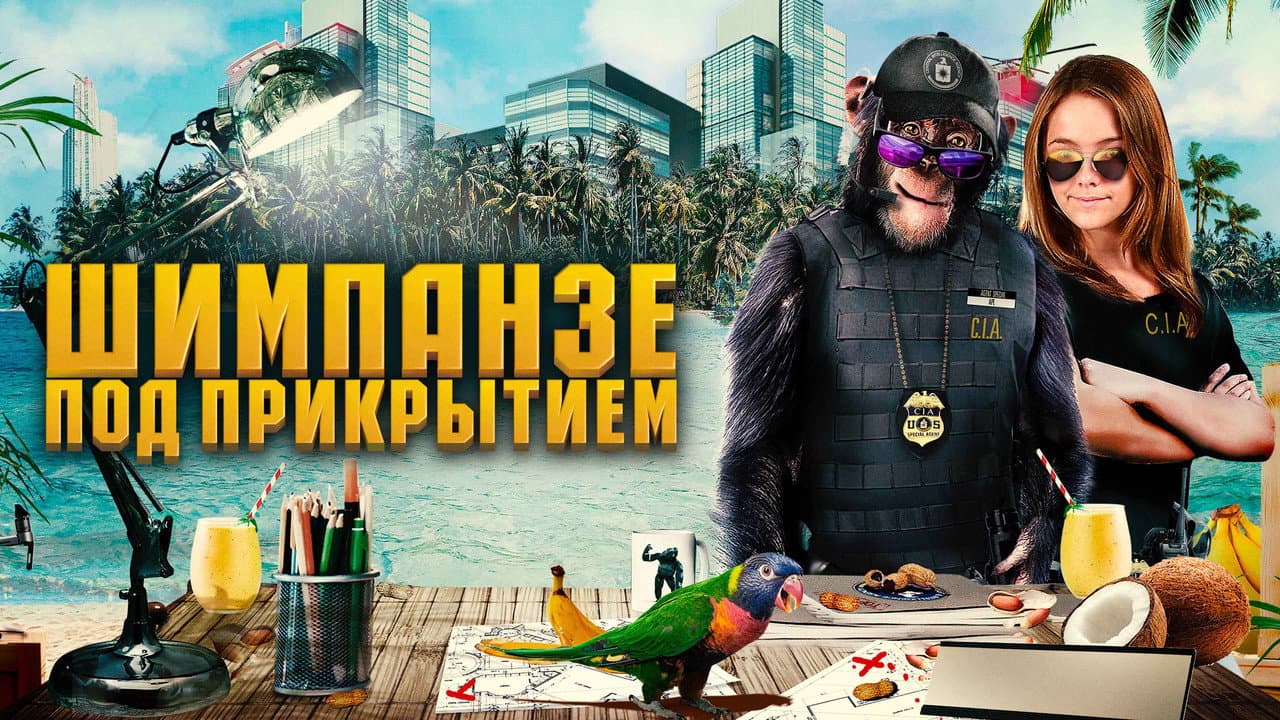 Кадр 1
