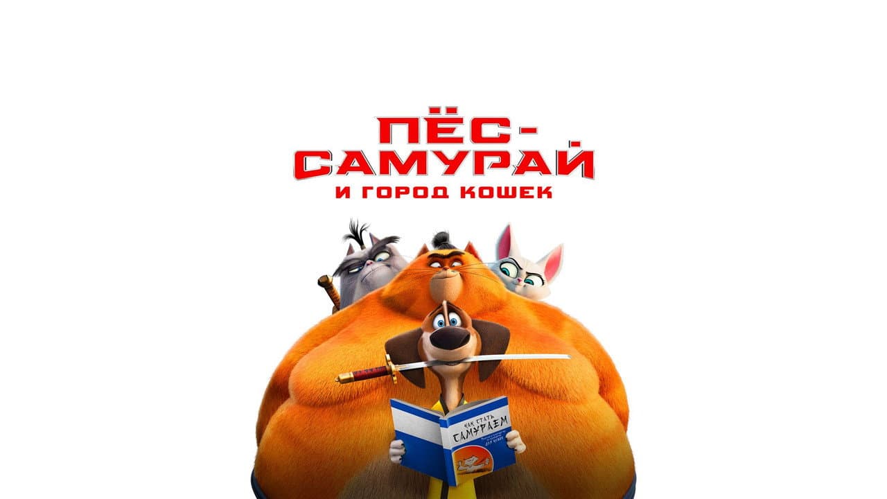 Кадр 1