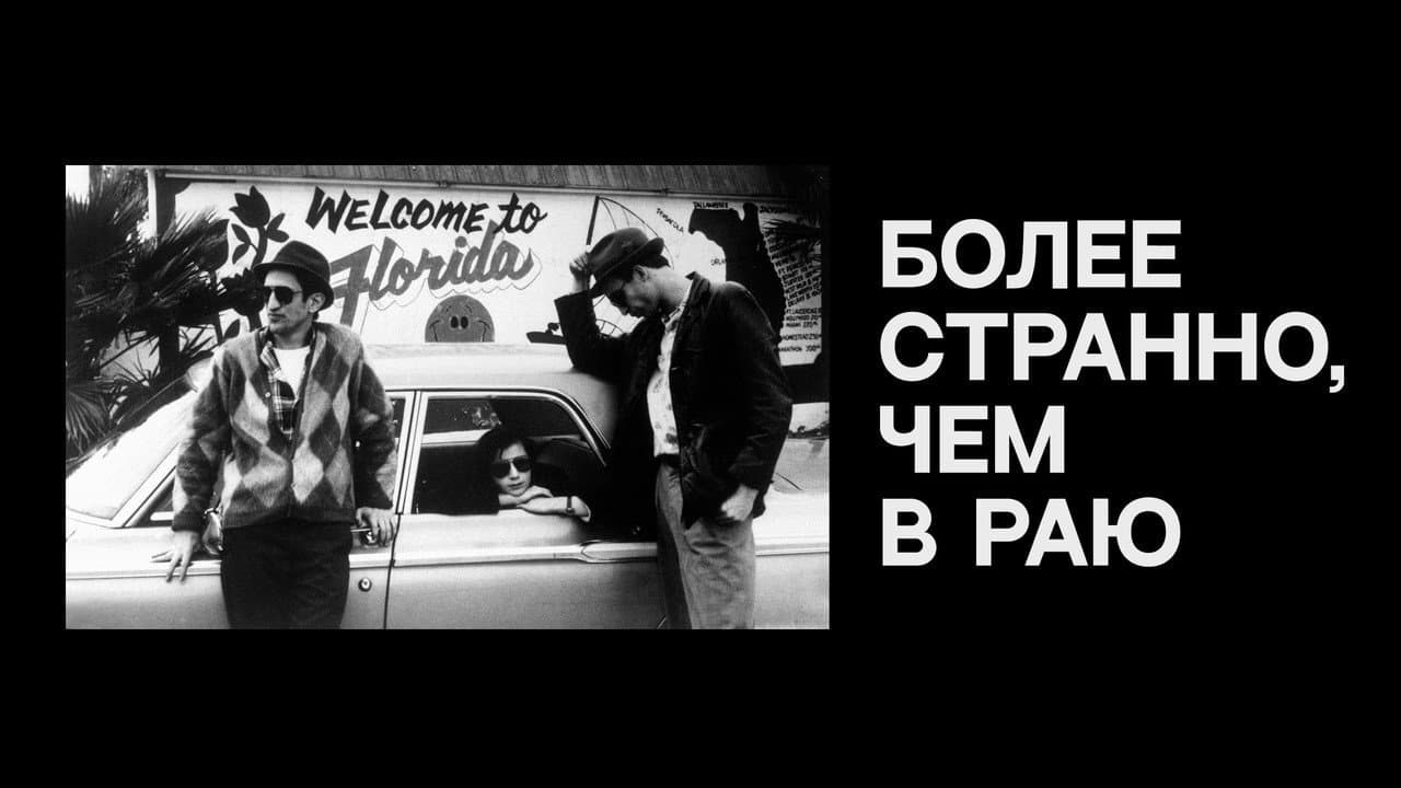 Кадр 1