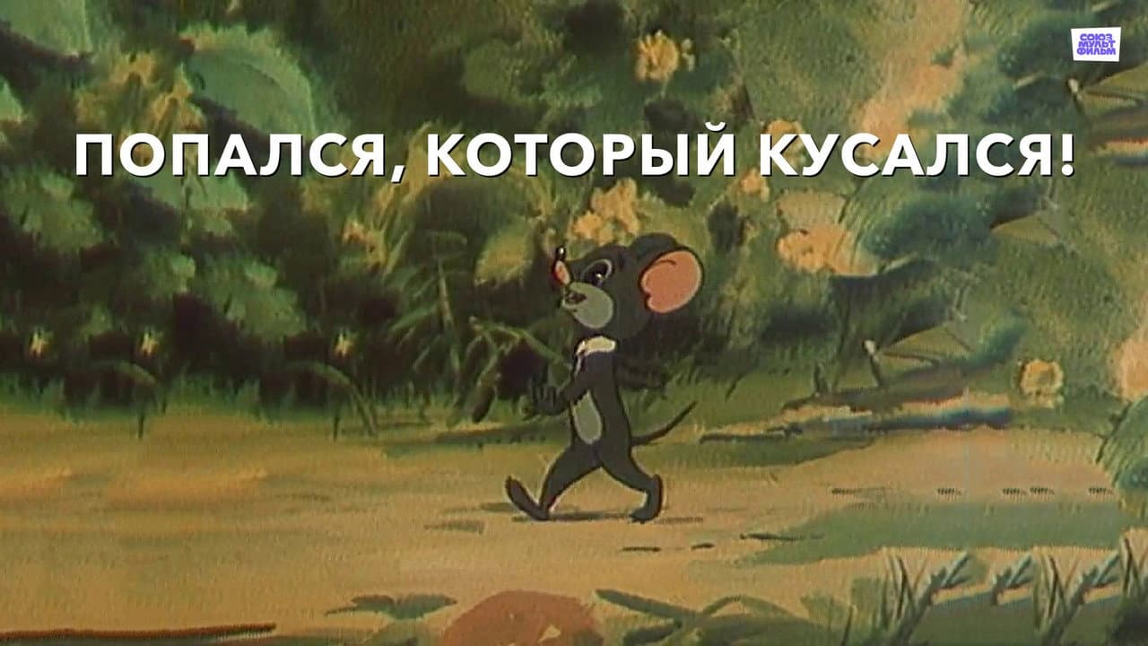 Кадр 1