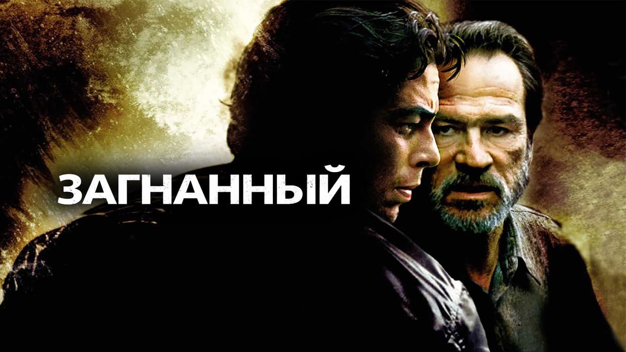 Кадр 2