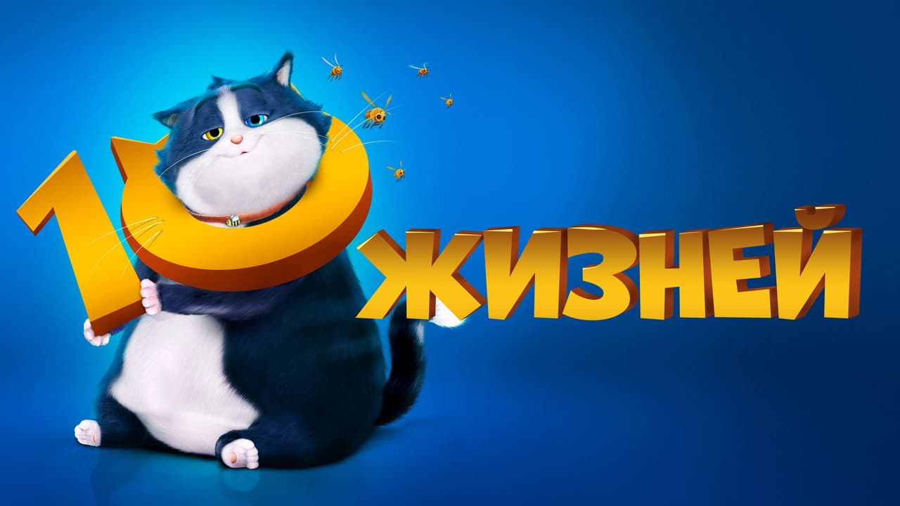 Кадр 1