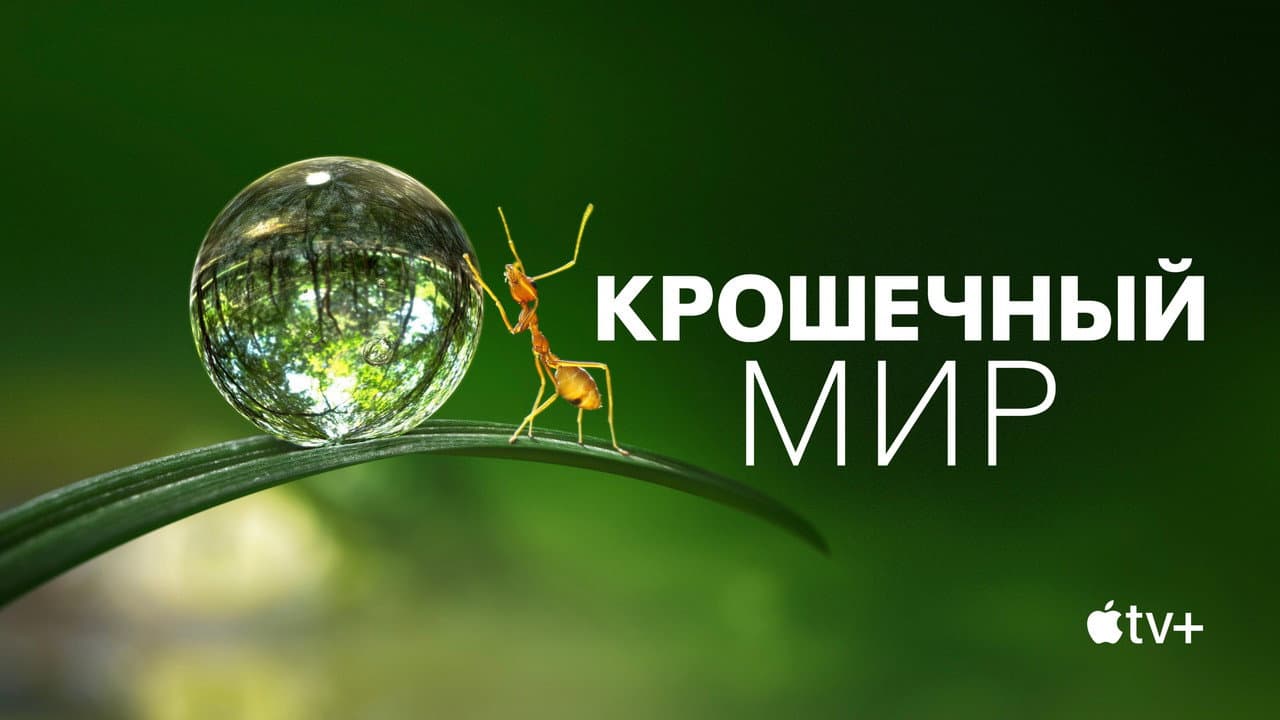 Кадр 1