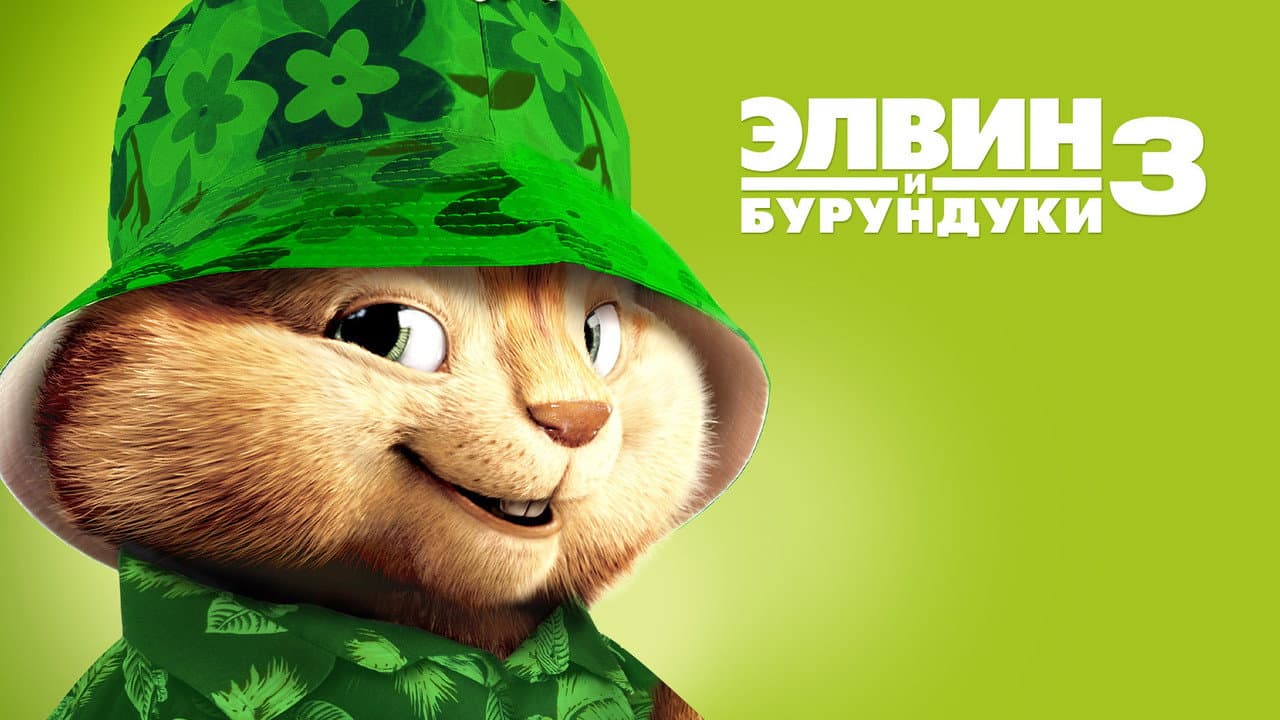 Кадр 1