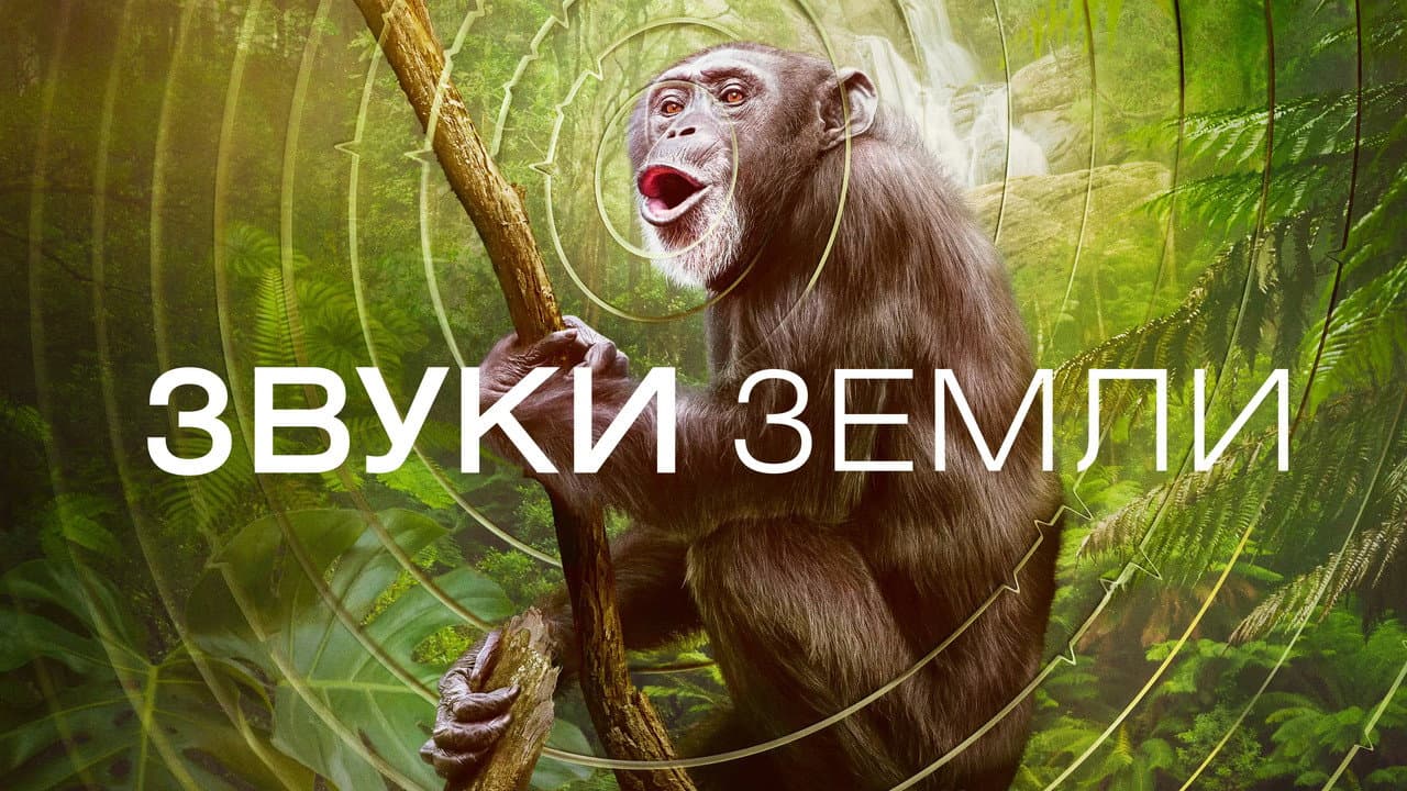 Кадр 2