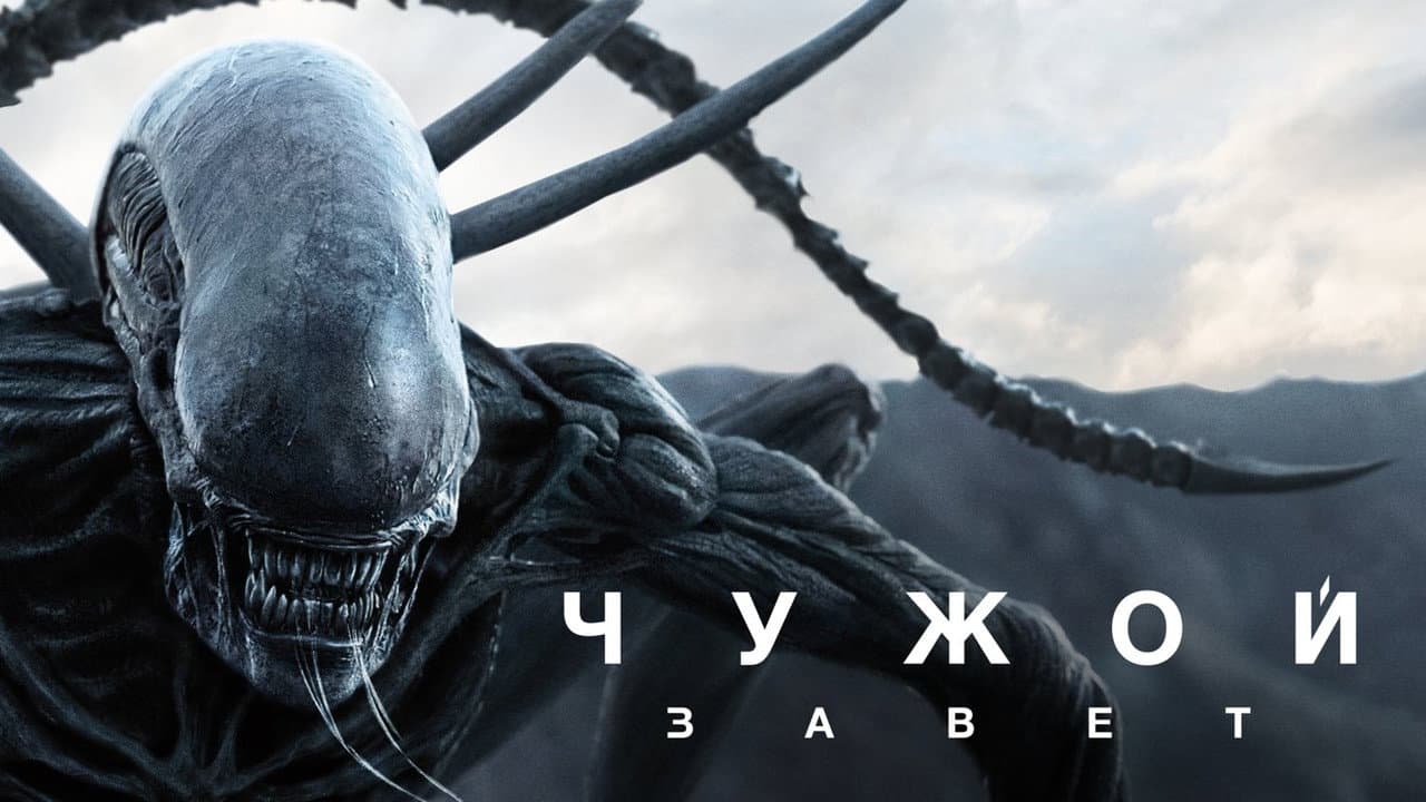 Кадр 2