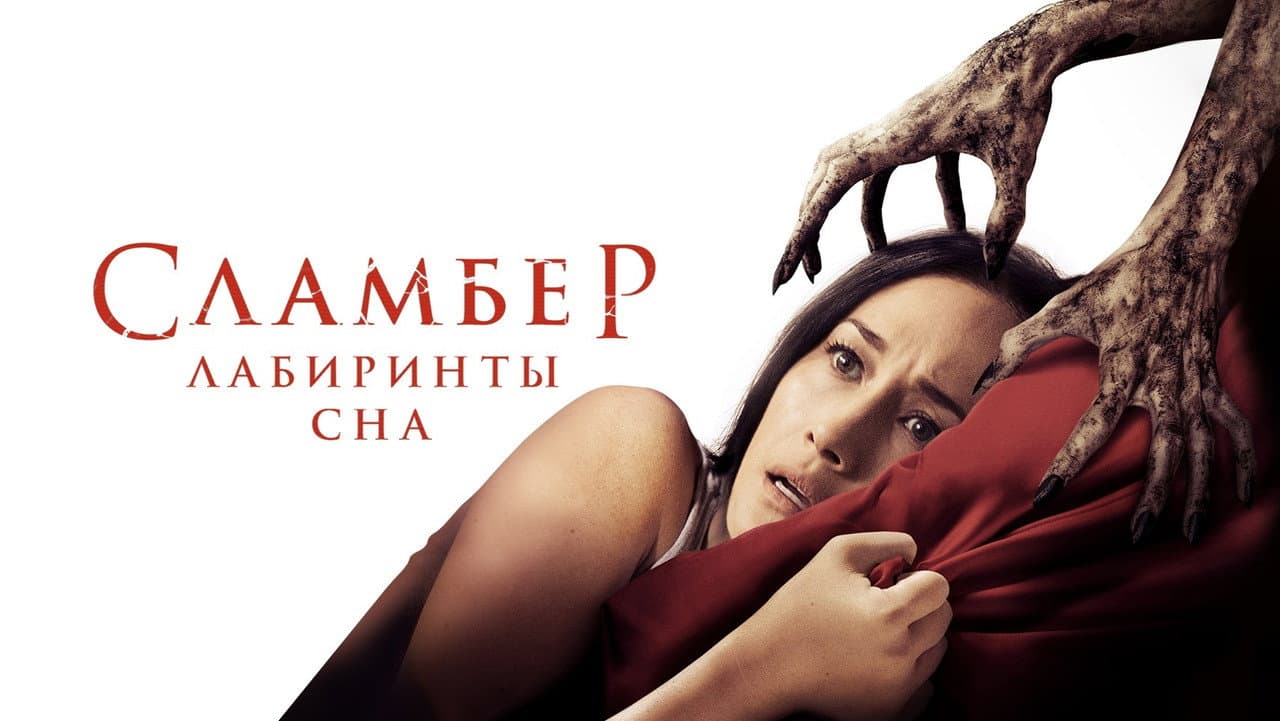 Кадр 1