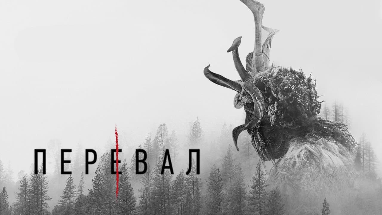 Кадр 1