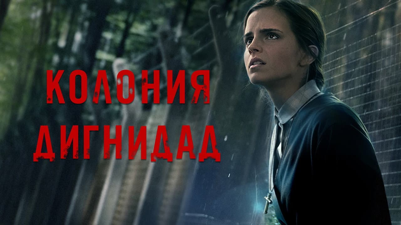 Кадр 1