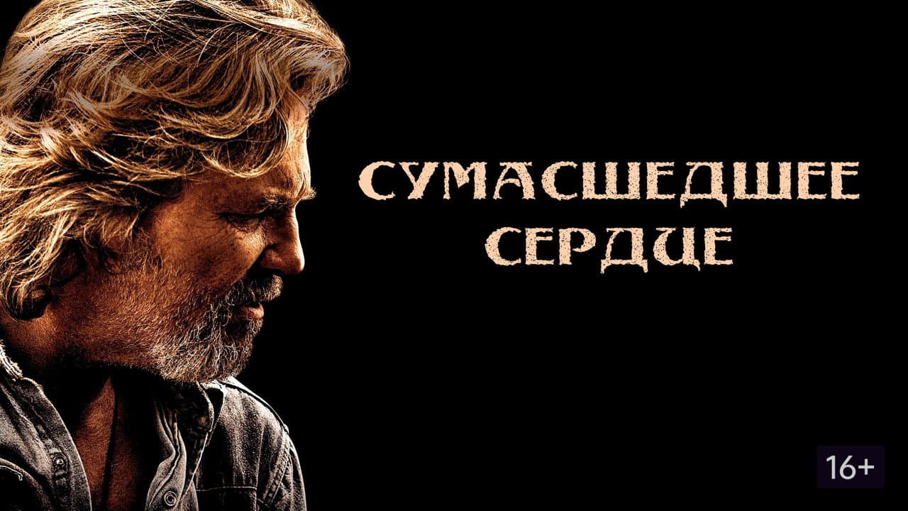 Кадр 1