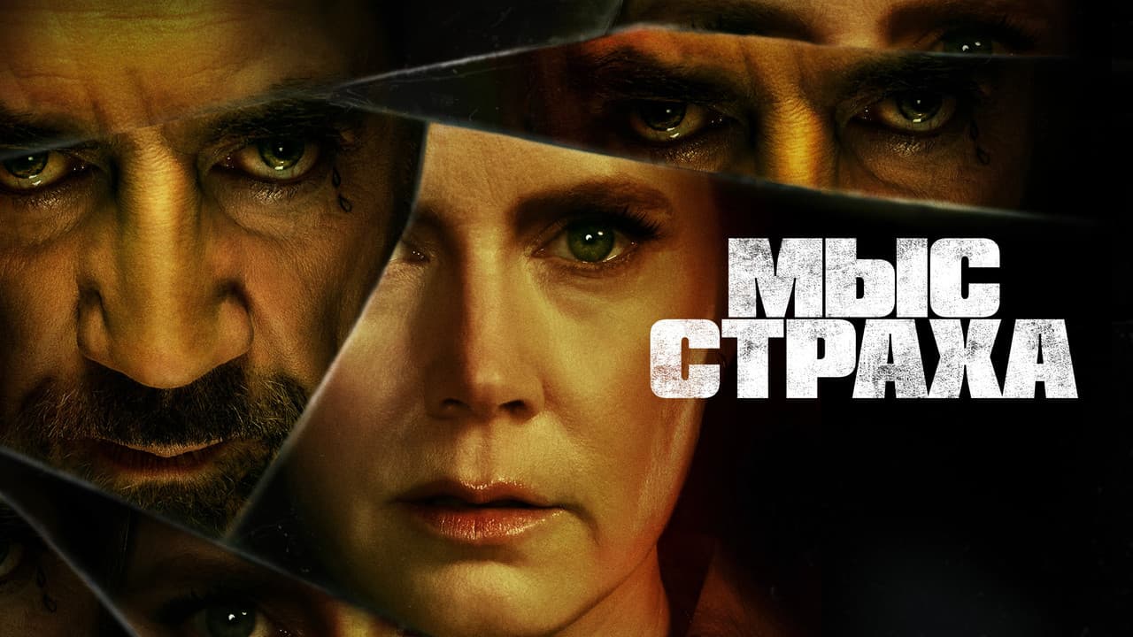 Кадр 5