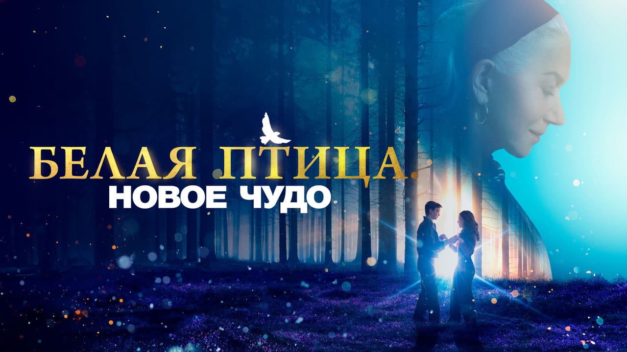 Кадр 1
