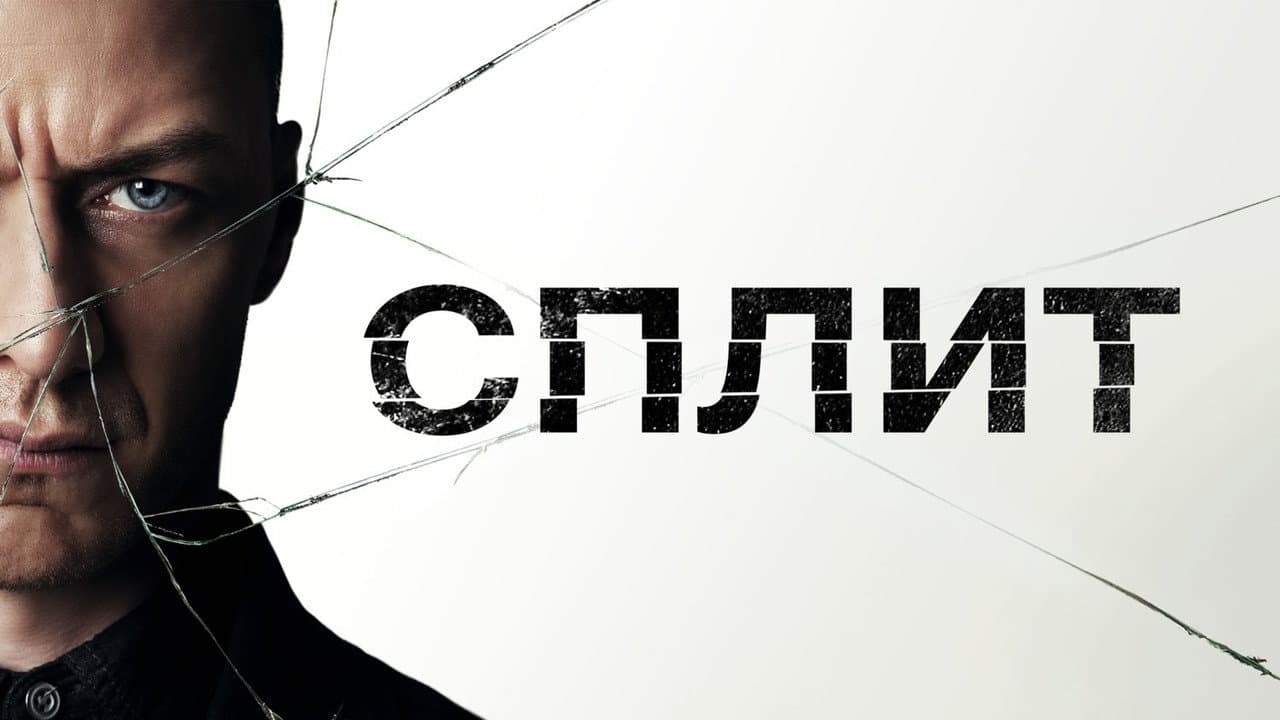 Кадр 5