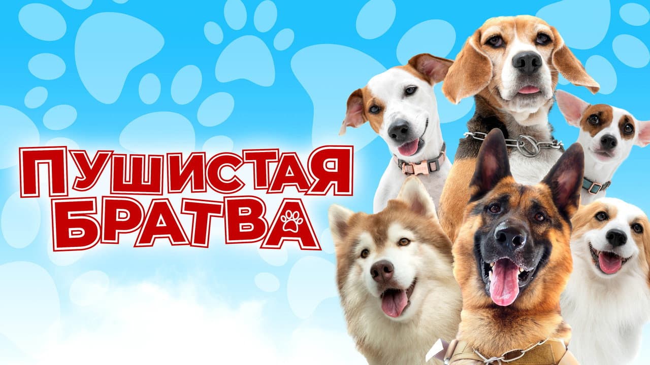 Кадр 1
