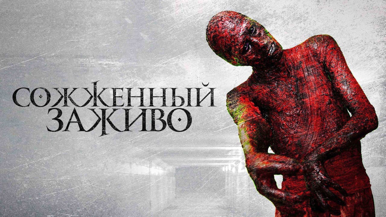 Кадр 1