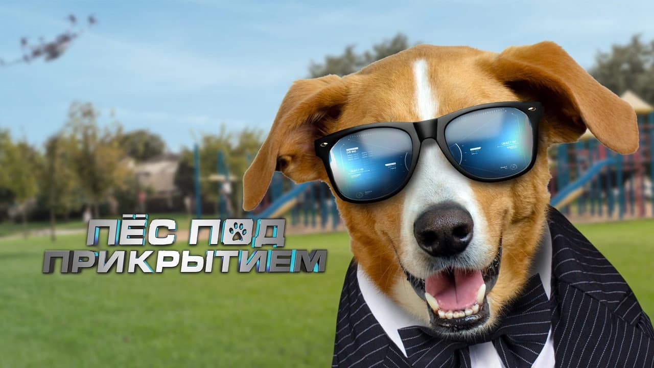 Кадр 1