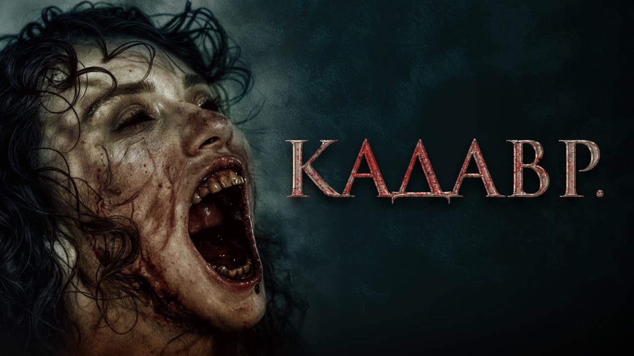Кадр 1