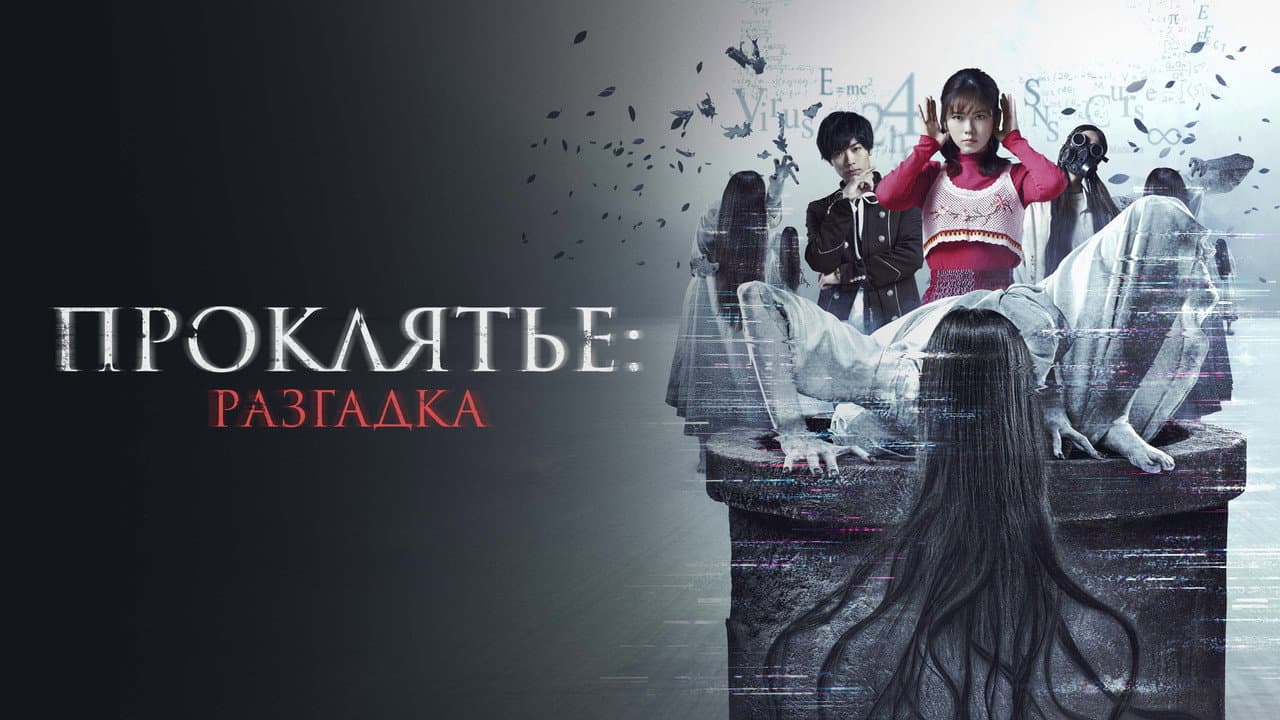 Кадр 1