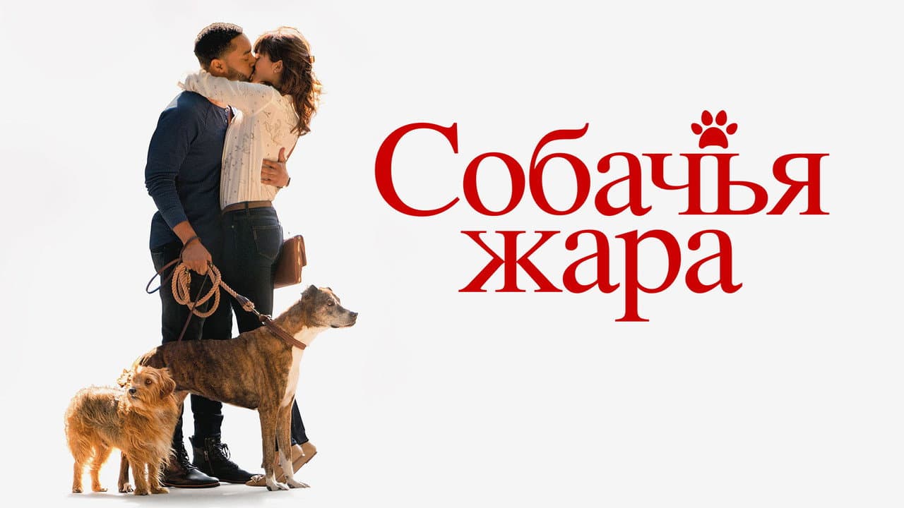 Кадр 1