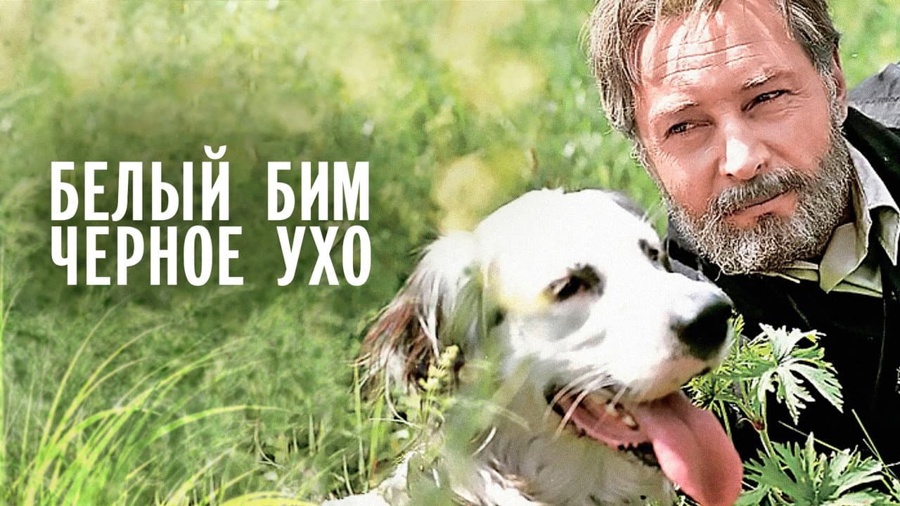 Кадр 1