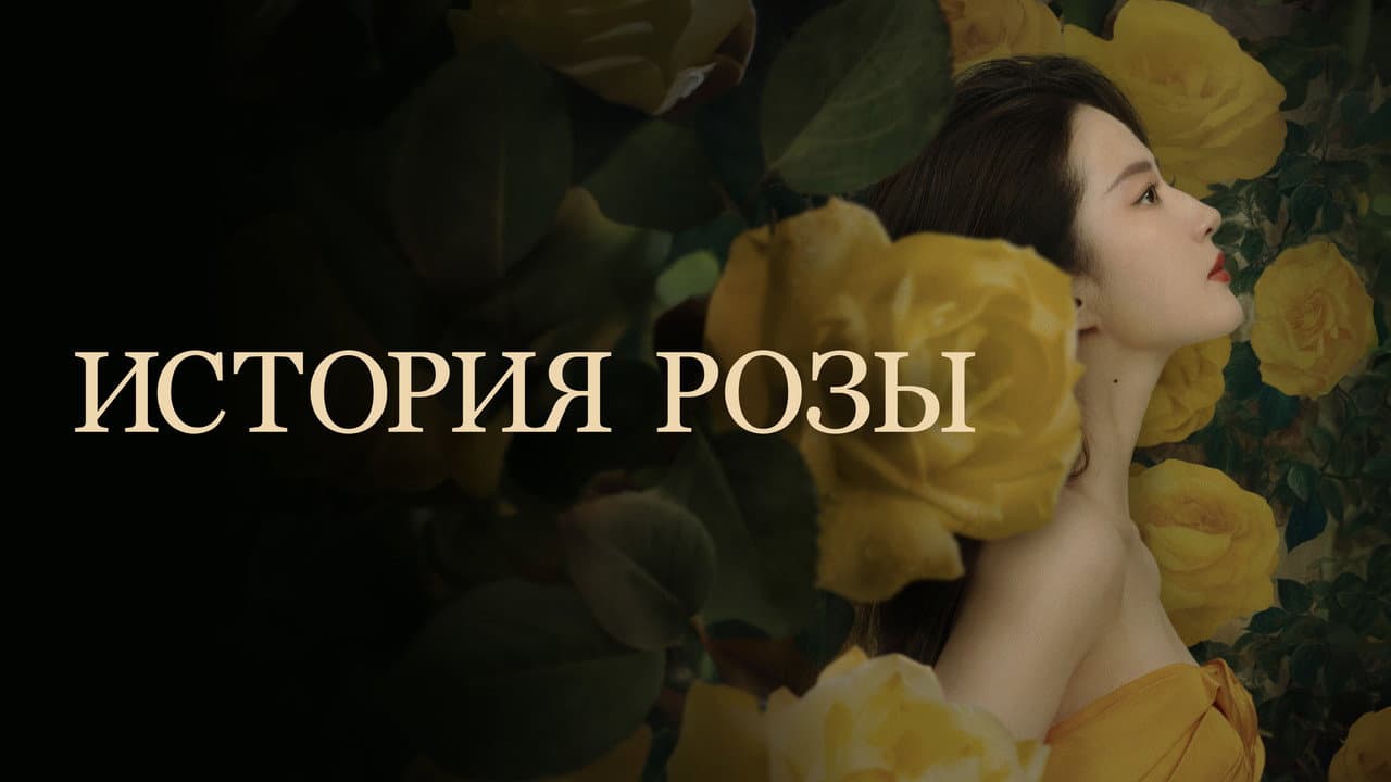 Кадр 1