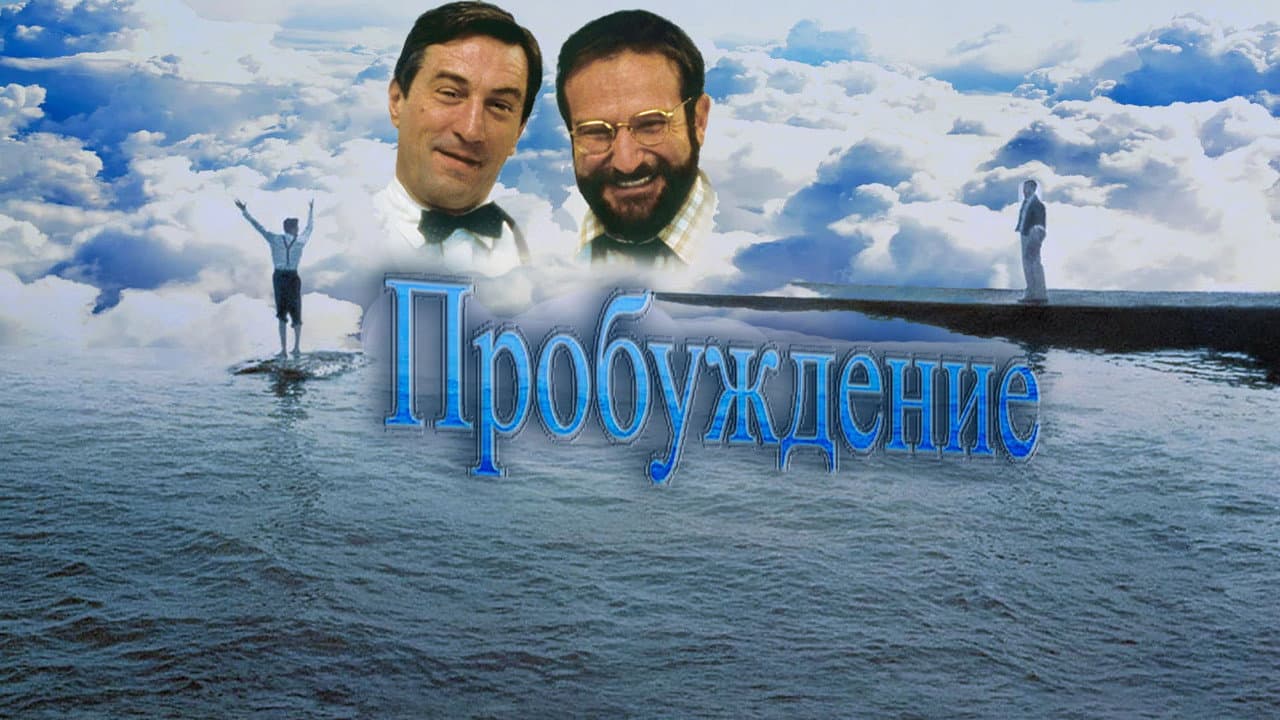 Кадр 1