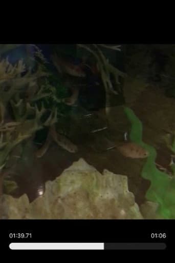 Random Fishies