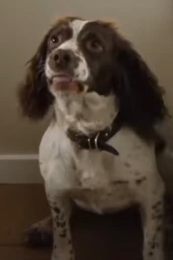 Rosa the Dog