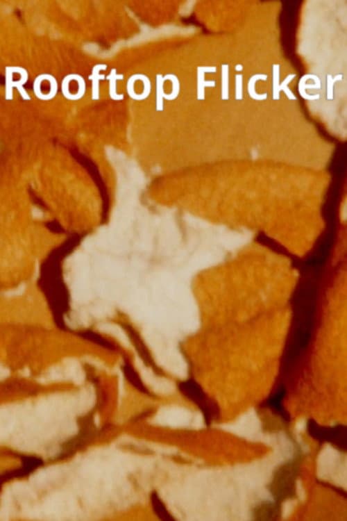 Постер: Rooftop Flicker