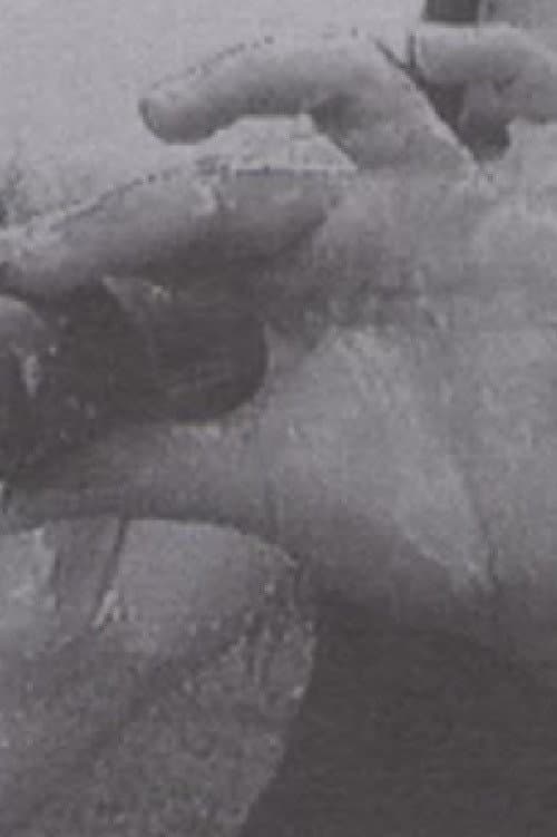 Постер: Luna 10 (The Butterfly Effect of Geography)