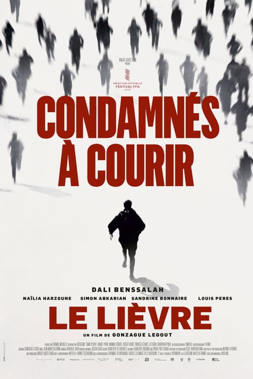 Постер: Le lièvre