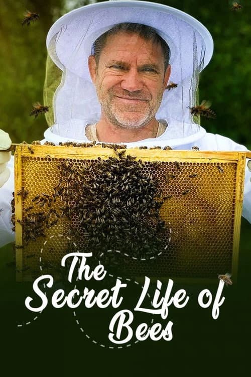 Постер: The Secret Life of Bees