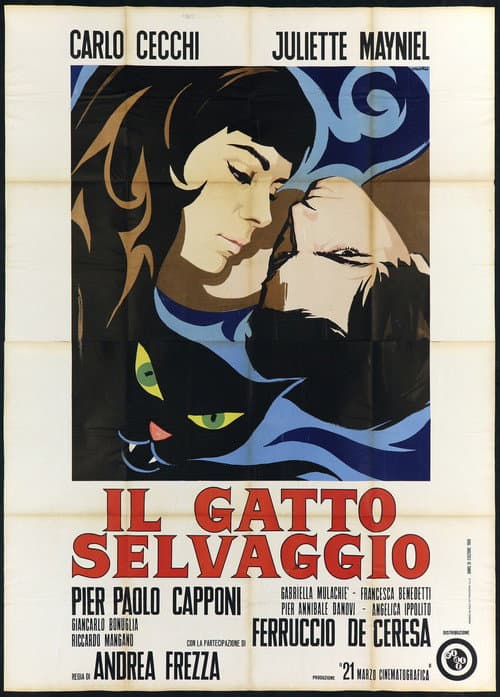 Постер: Il gatto selvaggio